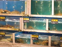 -鲜炉季港式打边炉(尚海湾店)