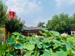 -济南大明湖景区