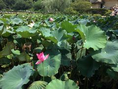 -韶山毛泽东同志故居