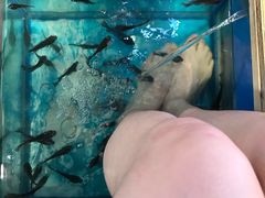 -泰国鱼疗足疗馆