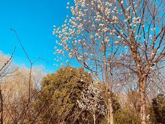-长广溪湿地公园