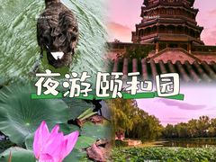 -颐和园
