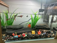 -贤花饭店(城阳店)