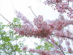 -白石龙音乐公园