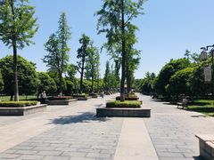 -孙记大碗皮肚面(后宰门店)