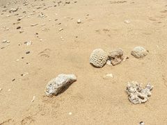 -石螺口海滩