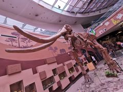 -陕西自然博物馆