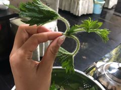 -黔府豆米火锅野菜馆(南马店)