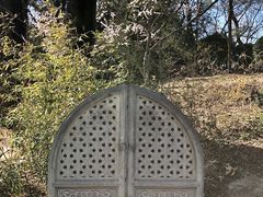 -近春园遗址
