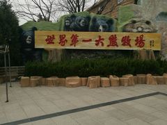 -东方熊牧场