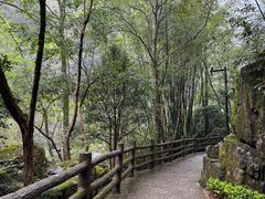 -刘伯温故里景区百丈漈