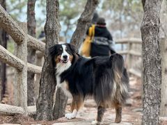-北京金海湖景区