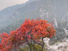 -北京凤凰岭