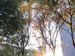 -江南大学(蠡湖校区)