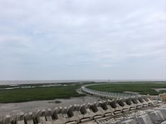 -南汇嘴观海公园