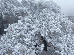 -天柱山风景区