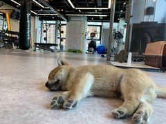 -Nirvana fitness私教健身工作室(古城店)