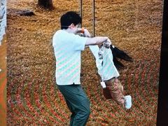 -博林天瑞喜来登酒店·西丽尚膳