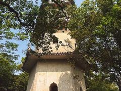 -江心屿景区