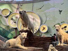 -陕西自然博物馆