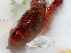 -胡大饭馆 24h(簋街总店)