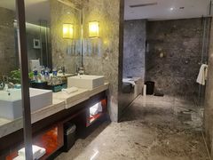 -常州环球恐龙城维景国际大酒店