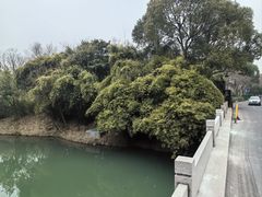 -西溪国家湿地公园