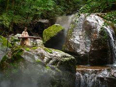 -牛背梁国家森林公园