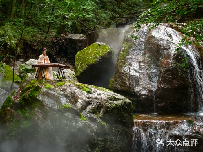 牛背梁国家森林公园图片