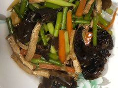 -金贝儿月嫂(高新尚品国际店)