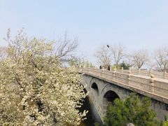 -赵州桥景区