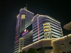 -圣爵菲斯大酒店(长沙世界之窗店)