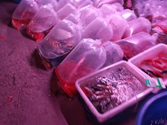 -中环花鸟鱼虫市场