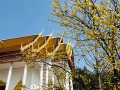 -报恩禅寺