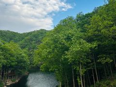 -洛阳白云山景区