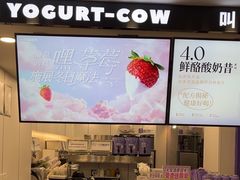 -一只酸奶牛(洪崖洞11楼店)