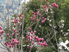 -上海电影博物馆