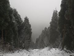 -太阳湾风景区