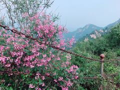 -云峰山自然风景区