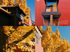 -故宫博物院(故宫)