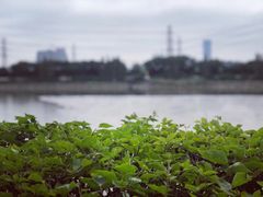 -黄埔古港