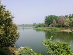 -大兴滨河森林公园