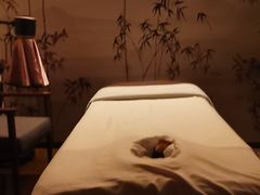 -端艾堂·SPA·艾灸(棕榈泉013店)