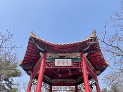 -棒棰岛宾馆景区