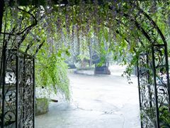 -铁山坪森林公园