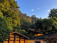 -缙云山景区