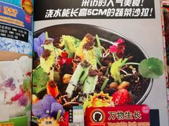 -小娘惹厨房Little Nyonya(狮城有约上榜店)