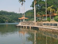 -深圳仙湖植物园