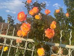 -北京植物园南门售票处