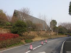 -美丽洲堂